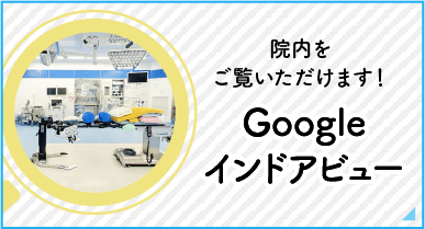 Googleインドアビュー