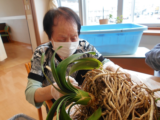 写真１