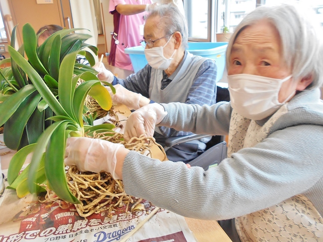写真２