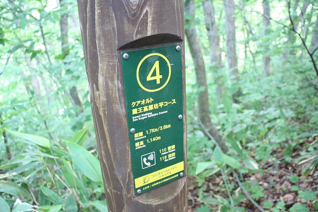 写真２