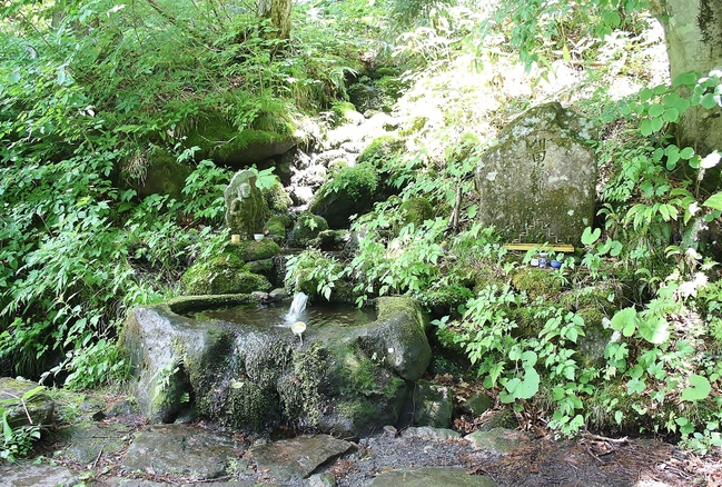 写真２