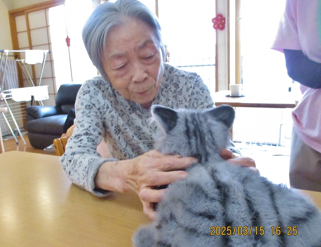 写真３