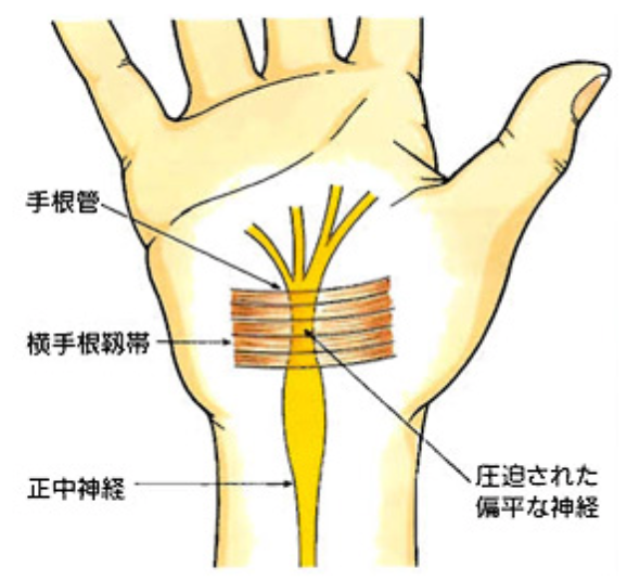 土田Drデータ(2)