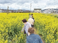 写真４